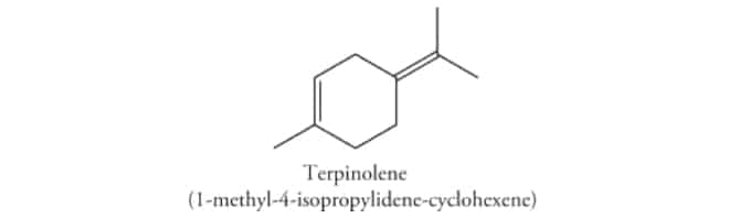 Terpinolène