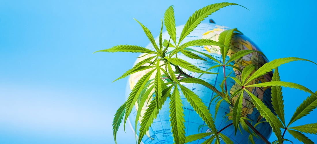 Légalisation du cannabis dans le monde