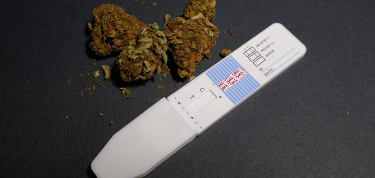 THC dans le sang : Combien de temps ? Durée et élimination - Kilogrammes