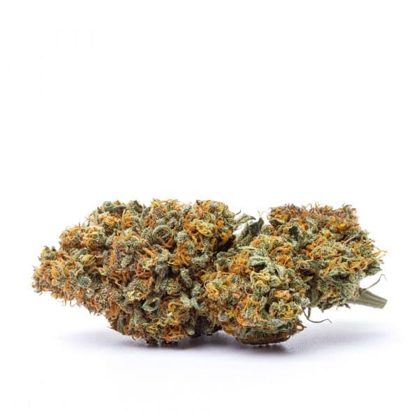 Strawberry Shortcake CBD Kilogrammes