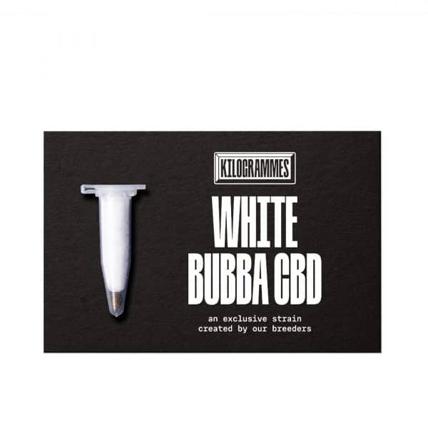 Graine CBD White Bubba