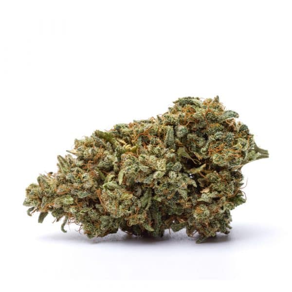 Kosher Kush CBD