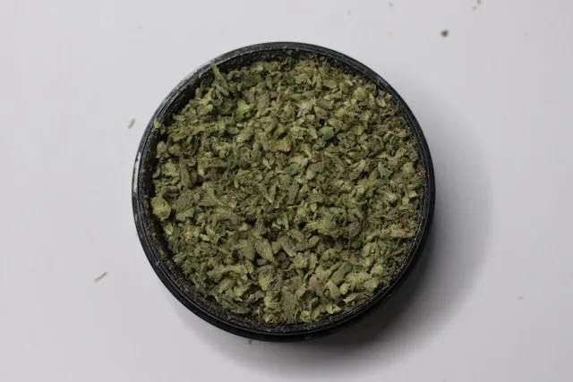 un grinder plein de cannabis CBD