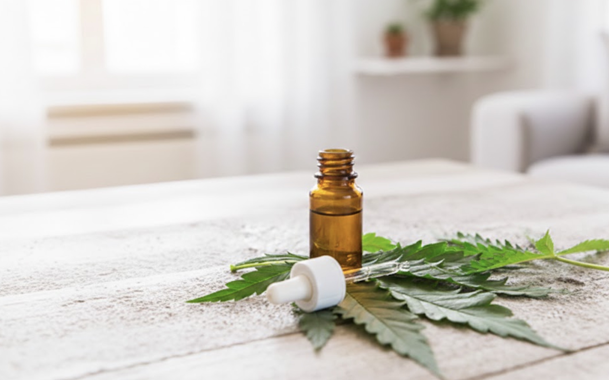 La France prolonge l'accès au cannabis thérapeutique pour les patients, mais la réforme reste suspendue